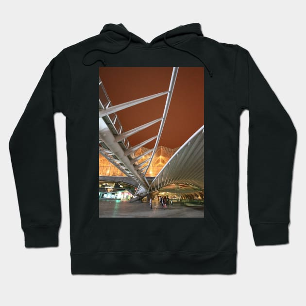 GARE DO ORIENTE. Lisbon Hoodie by terezadelpilar